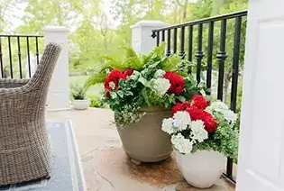Flower Arrangements
