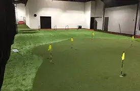 Golf & Putting Green Turf