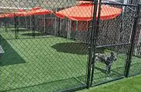 Pet & Kennel Turf