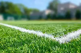 Sports & Athletic Turf