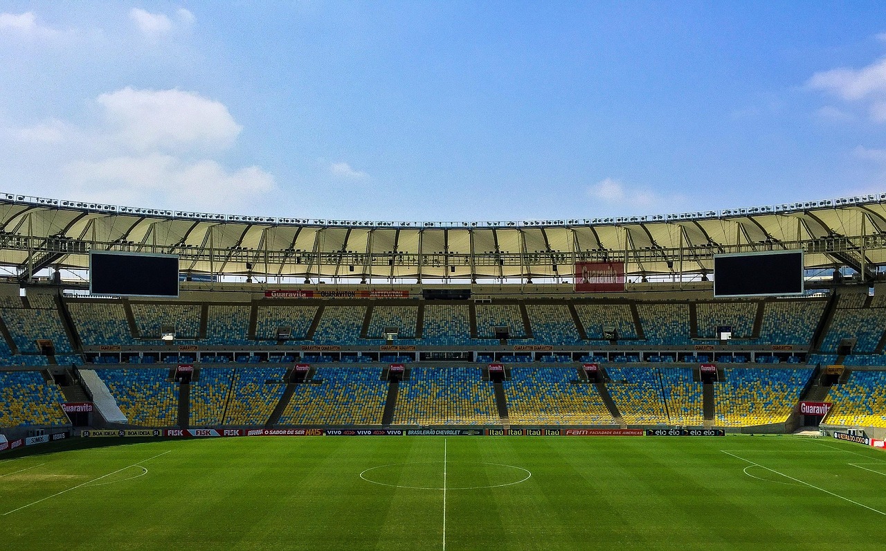 Professional Stadium Installation
