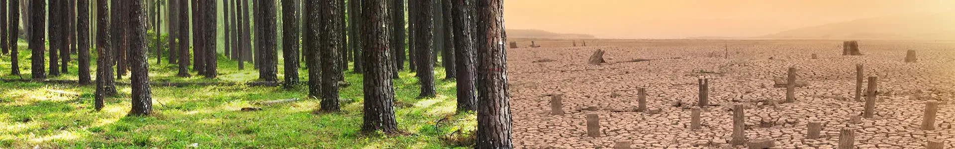 Warming Climate